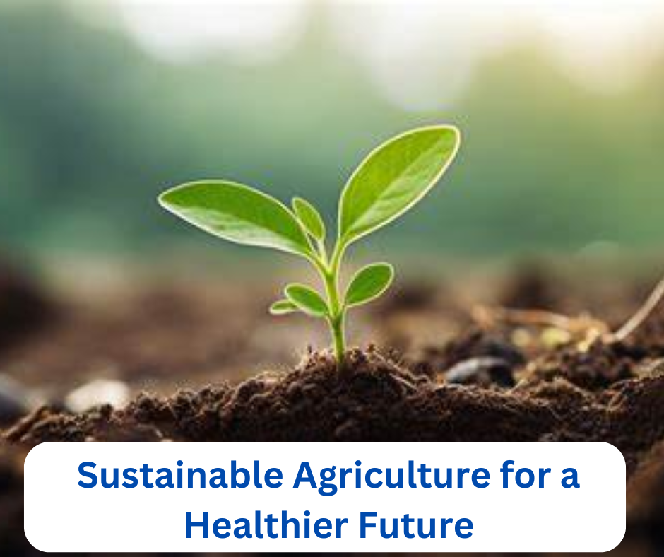 Sustainable Agriculture for a Healthier Future